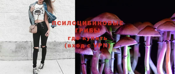 тгк Покровск